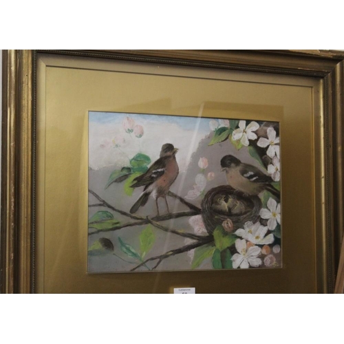 50 - A GILT FRAMED AND GLAZED PASTEL / MIXED MEDIA ON BOARD OF BIRDS AND NEST - INITIALLED LOWER RIGHT