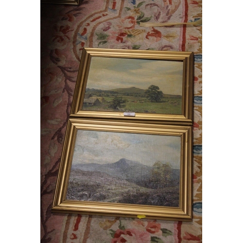 58 - A PAIR OF VINTAGE GILT FRAMED OIL ON BOARD MOUNTAINOUS WELSH SCENES INCLUDING GOP, NEAR NEWMARKET FL... 