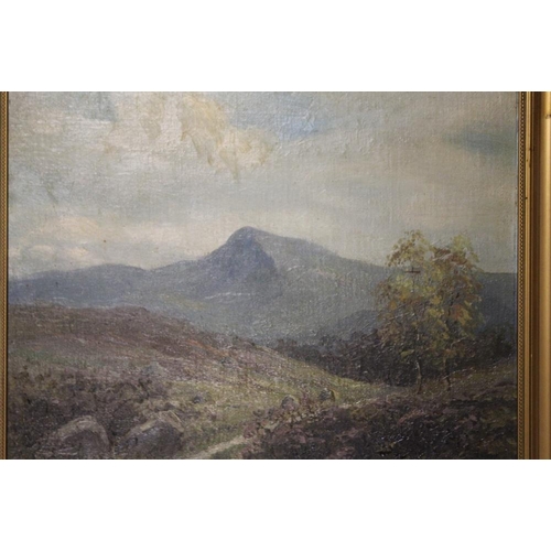 58 - A PAIR OF VINTAGE GILT FRAMED OIL ON BOARD MOUNTAINOUS WELSH SCENES INCLUDING GOP, NEAR NEWMARKET FL... 