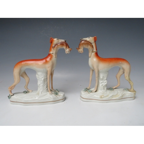 398 - A PAIR OF 19TH CENTURY STAFFORDSHIRE GREYHOUNDS WITH HARES IN THEIR MOUTHS, H 19 cm (2)