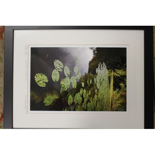 25 - A QUANTITY OF FRAMED AND GLAZED PICTURES AND PRINTS TO INCLUDE AND ECCLESHALL EXAMPLE