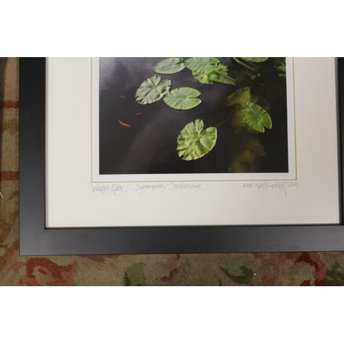 25 - A QUANTITY OF FRAMED AND GLAZED PICTURES AND PRINTS TO INCLUDE AND ECCLESHALL EXAMPLE