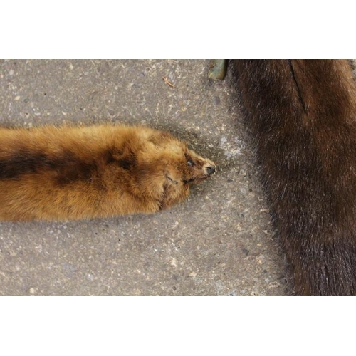 58 - A COLLECTION OF ASSORTED VINTAGE MINK FUR STOLES ETC