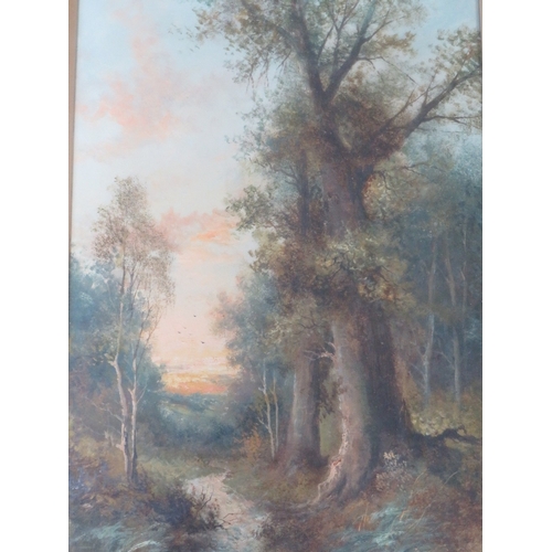 38 - HENRY COOPER (XIX-XX). A pair of wooded landscapes, both signed bottom left, oils on canvas, gilt fr... 