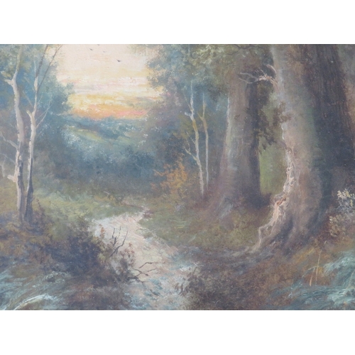 38 - HENRY COOPER (XIX-XX). A pair of wooded landscapes, both signed bottom left, oils on canvas, gilt fr... 