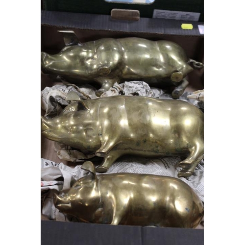 48 - A SET OF THREE LARGE HEAVY BRASS GRADUATED PIGS - ONE BEING A MONEYBOX