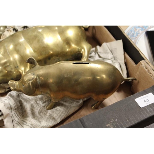 48 - A SET OF THREE LARGE HEAVY BRASS GRADUATED PIGS - ONE BEING A MONEYBOX