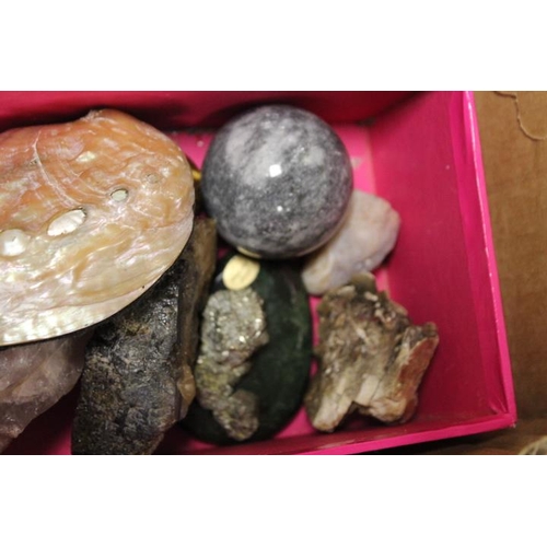 213 - A SMALL TRAY OF COLLECTABLES TO INCLUDE ROCK SAMPLES, MOUNTED ANTLERS ETC