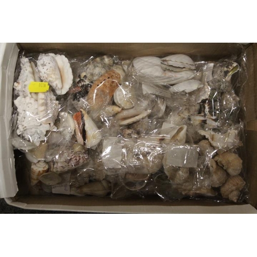 214 - A SMALL BOX OF COLLECTABLE SHELLS