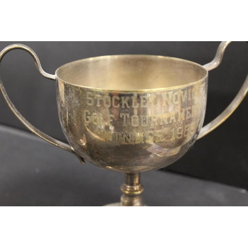 219 - A HALLMARKED SILVER TANKARD - APPROX WEIGHT 317 G TOGETHER WITH A SILVER PLATED TWIN HANDLED TROPHY ... 