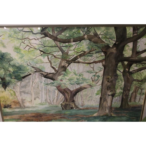 26 - TWO LARGE FRAMED WOODLAND SCENES (2)