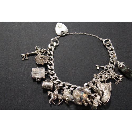 254A - A CHARM BRACELET AND CHARMS WITH HALLMARKED SILVER HEART SHAPED CLASP