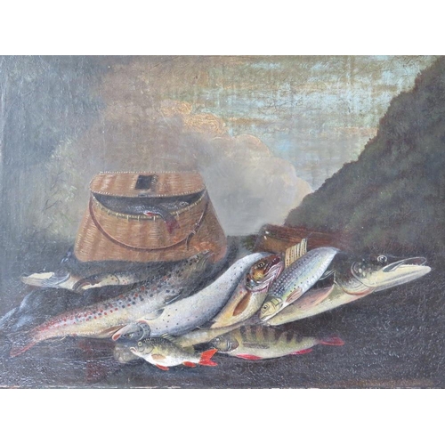 112 - (XVIII-XIX). Study of fish and a creel on a bank, pike, perch, trout etc, unsigned, oil on canvas, u... 