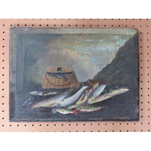 112 - (XVIII-XIX). Study of fish and a creel on a bank, pike, perch, trout etc, unsigned, oil on canvas, u... 