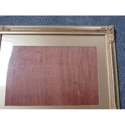 31 - A LATE 19TH / EARLY 20TH CENTURY DECORATIVE GOLD WATERCOLOUR FRAME, with corner embellishments, with... 