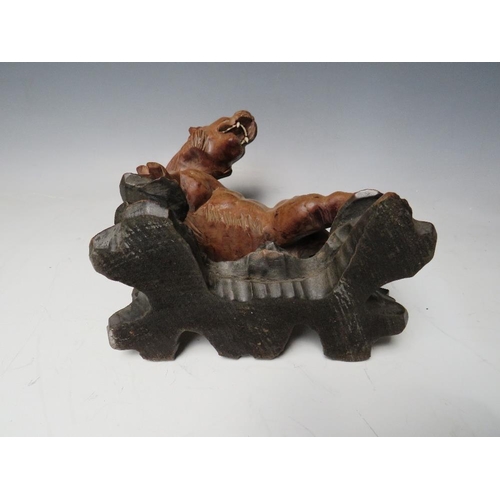 519 - A 20TH CENTURY JAPANESE CARVED HARDWOOD TIGER, on a naturalistic wood base, H 19.5 cm, W 18 cm