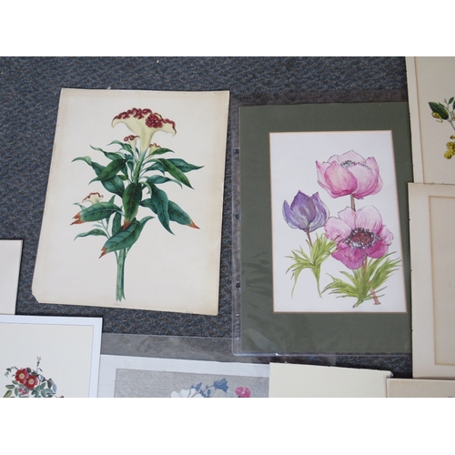 20 - A FOLDER OF ASSORTED HORTICULTURAL COLOURED MIXED MEDIA STUDIES, to include prints, lithographs and ... 