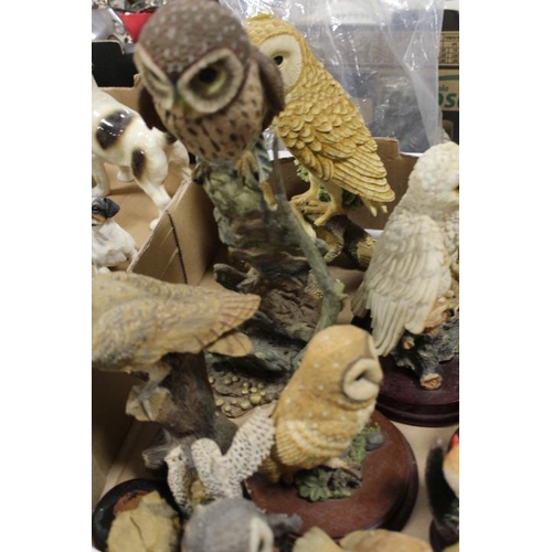 71 - A TRAY OF ASSORTED VINTAGE DOG AND CAT FIGURES TOGETHER WITH A TRAY OF ASSORTED OWL FIGURES AND A BA... 