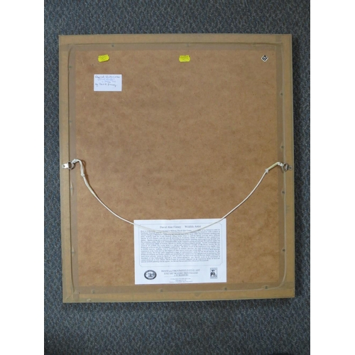 63 - DAVID ALAN FINNEY (b.1961). Study of a pied wagtail in an oak tree, see verso, signed lower right, w... 