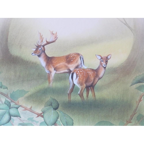 64 - DAVID ALAN FINNEY (b.1961). Study of two fallow deer in a woodland clearing, signed lower right, wat... 