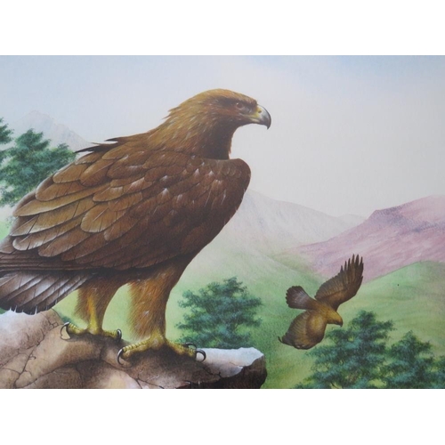66 - DAVID ALAN FINNEY (b.1961). Study of two golden eagles, one perched on a rock, signed lower left, wa... 