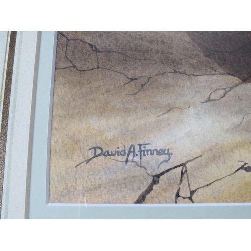 66 - DAVID ALAN FINNEY (b.1961). Study of two golden eagles, one perched on a rock, signed lower left, wa... 