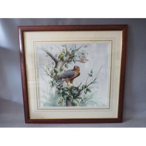 67 - DAVID ALAN FINNEY (b.1961). Study of two kestrels, one perched on a tree branch, signed lower left, ... 