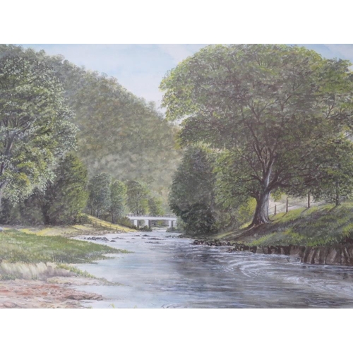 70 - E. SALE (XX). Welsh wooded river landscape, signed lower right, watercolour, framed and glazed, 37 x... 