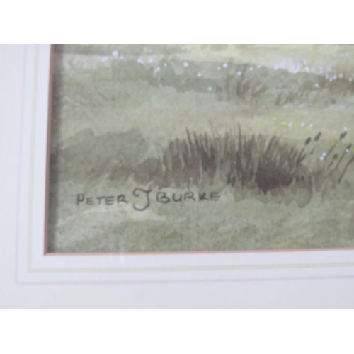 74 - PETER J BURKE (XX). British school 'A Moorland Farmstead', with sheep, see verso, signed lower left,... 