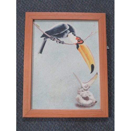 83 - F.P. ?; An illustration of a toucan feeding its young, signed with monogram and dated 1933 lower lef... 