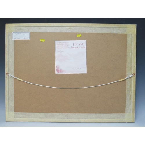 84 - JENNY E. CAINE (XX). Lincolnshire artist, 'Sunrise Gibraltar Point', with geese in flight, see verso... 