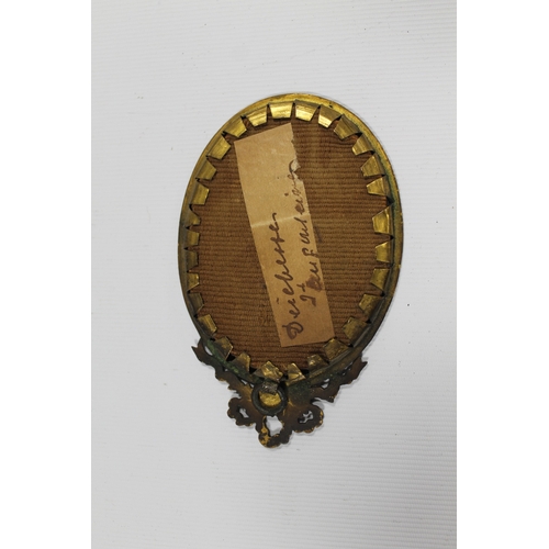 110 - A PAIR OF 19TH CENTURY OVAL PORTRAIT MINIATURES OF ELEGANT YOUNG LADIES, unsigned, framed and glazed... 