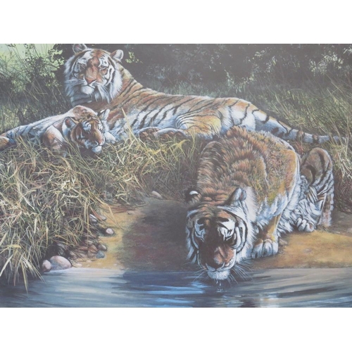 29 - DOROTHEA BUXTON HYDE (b.1942).Study of tigers resting by a river, signed in pencil lower right, limi... 