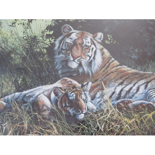 29 - DOROTHEA BUXTON HYDE (b.1942).Study of tigers resting by a river, signed in pencil lower right, limi... 