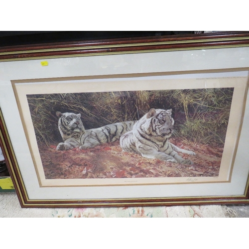 53 - A FRAMED AND GLAZED ANTHONY GIBBS 'WHITE TIGERS EVER WATCHFUL' SIGNED PRINT