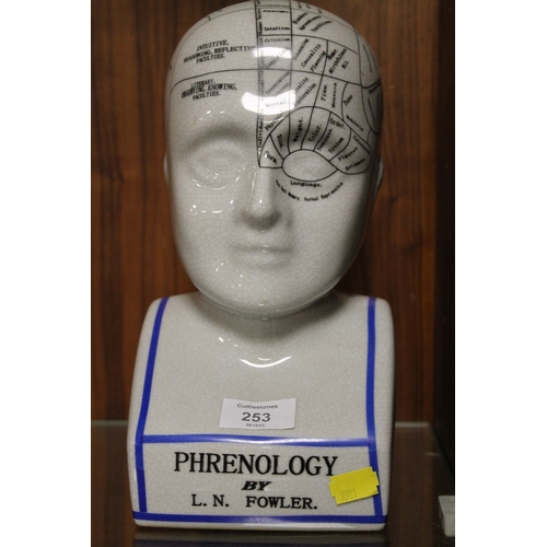 253 - A REPRODUCTION PHRENOLOGY HEAD