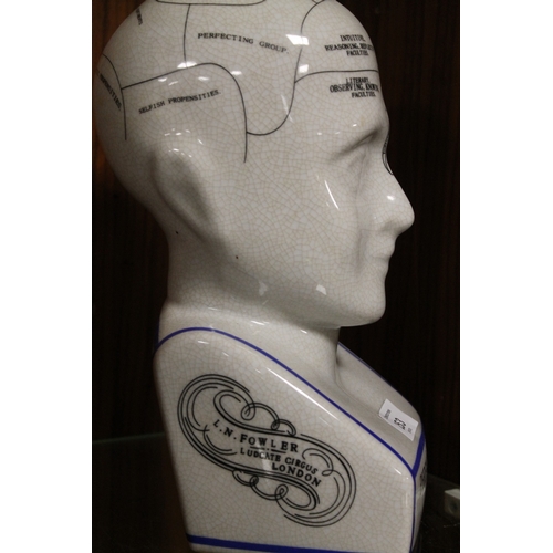 253 - A REPRODUCTION PHRENOLOGY HEAD