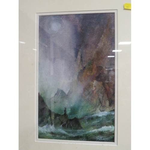 14 - A FRAMED AND GLAZED IMPRESSIONIST WATER COLOUR OF A BIRD UPON STORMY COASTAL ROCKS SIGNED LOWER RIGH... 