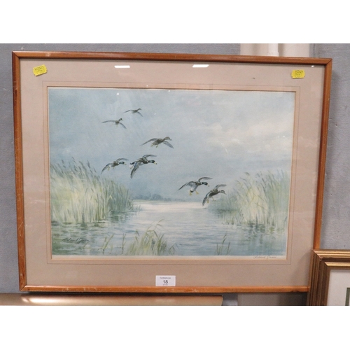 18 - A ROLAND GREEN SIGNED PRINT ENTITLED MALLARD COMING IN TO LAND