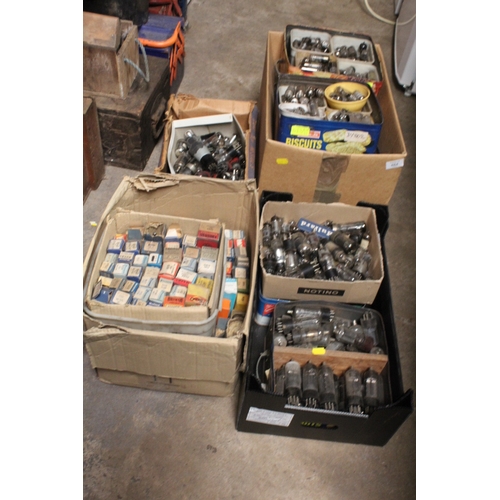 664 - A QUANTITY OF TRAYS AND BOXES OF TV/RADIO VALVES TO INCLUDE BOXED EXAMPLES UNCHECKED