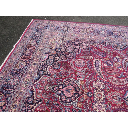 803 - A LARGE EASTERN RED WOOLLEN RUG 508 x 310 cm