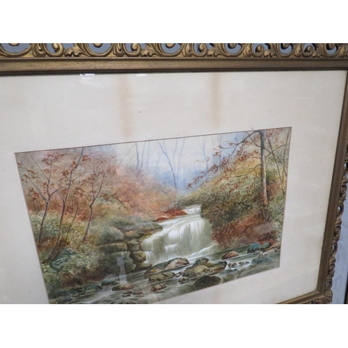 13 - A WATERCOLOUR DEPICTING A WOODLAND RIVER SCENE SIGNED LOWER RIGHT