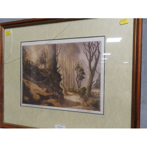 10 - JOSEPH F PIMM - A FRAMED AND GLAZED SIGNED AQUATINT ENTITLED A WOODLAND BYWAY SIGNED LOWER  RIGHT