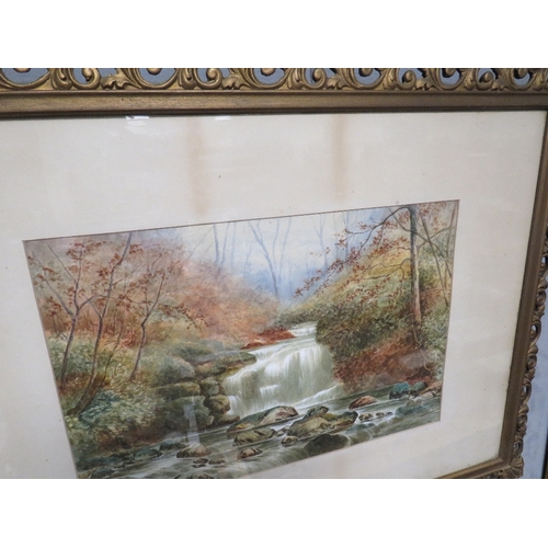 12 - A WATERCOLOUR DEPICTING A WOODLAND RIVER SCENE SIGNED LOWER RIGHT TOGETHER WITH AN OIL ON BOARD OF A... 