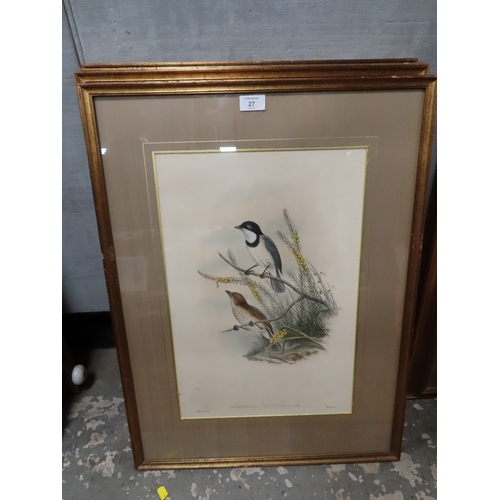 27 - FOUR FRAMED FRONT AND BACK GLAZED LARGE ORNITHOLOGY PRINTS/PLATES