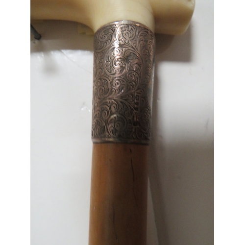 254 - A HALLMARKED SILVER TOPPED WALKING CANE TOGETHER WITH A HALLMARKED SILVER BANDED BONE HANDLED EXAMPL... 