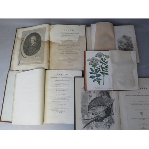 120 - FIVE NATURAL HISTORY BOOKS  - WILLIAM RHIND, 'A History of the Vegetable Kingdom' 1865, John Evelyn ... 