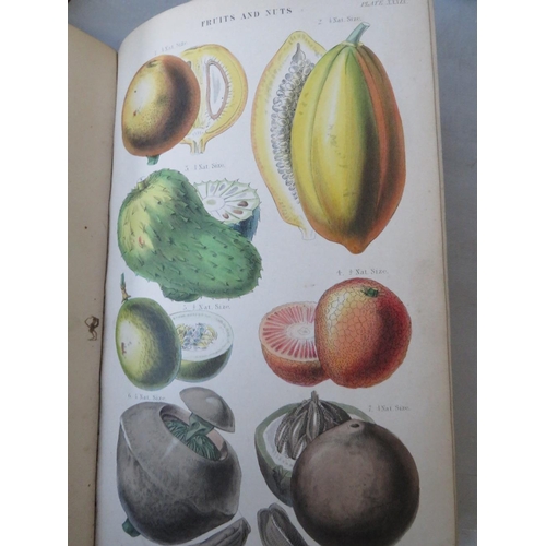 120 - FIVE NATURAL HISTORY BOOKS  - WILLIAM RHIND, 'A History of the Vegetable Kingdom' 1865, John Evelyn ... 