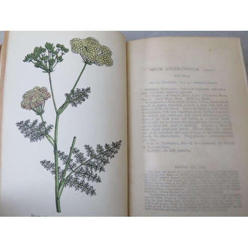 120 - FIVE NATURAL HISTORY BOOKS  - WILLIAM RHIND, 'A History of the Vegetable Kingdom' 1865, John Evelyn ... 