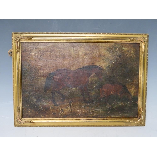 96 - A 19TH CENTURY STUDY OF A HORSE, FOAL AND DOG IN A WOODED LANDSCAPE, unsigned, oil on canvas laid on... 